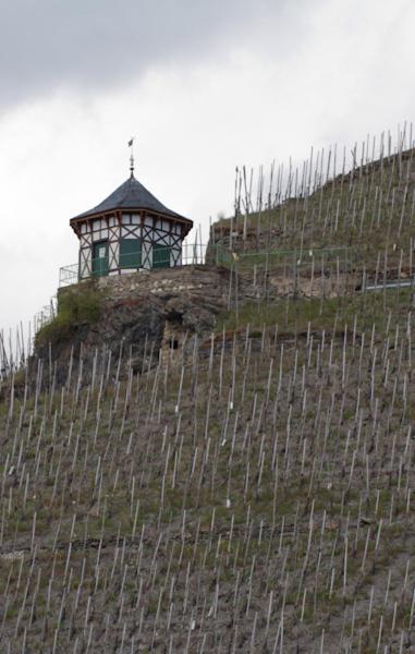 Weingut & Gaestehaus Schmitz-Bergweiler Bernkastel-Kues Ngoại thất bức ảnh