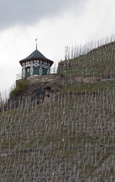 Weingut & Gaestehaus Schmitz-Bergweiler Bernkastel-Kues Ngoại thất bức ảnh